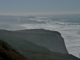 California2007-2008-029